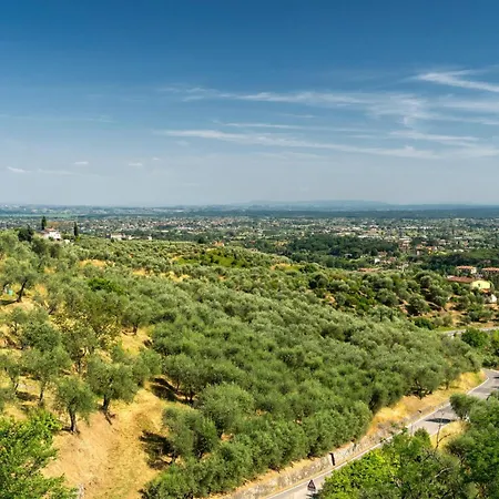 Medicina - Happy Villa Pescia