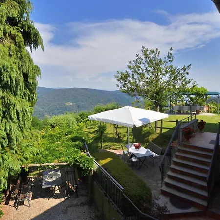 Medicina - Happy Villa Pescia